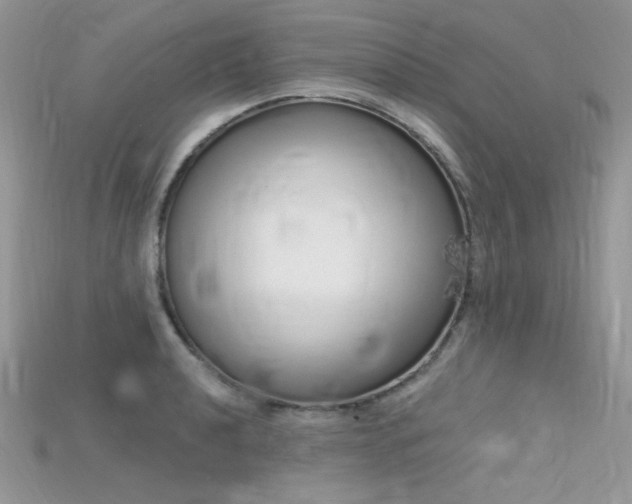 X0000115711040200911121421