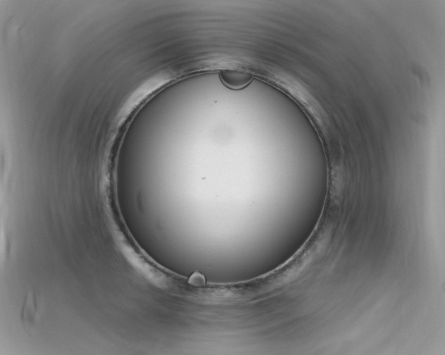 X0000115711042200911121421