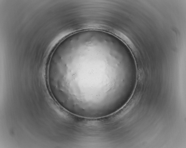 X0000115711043200911121421