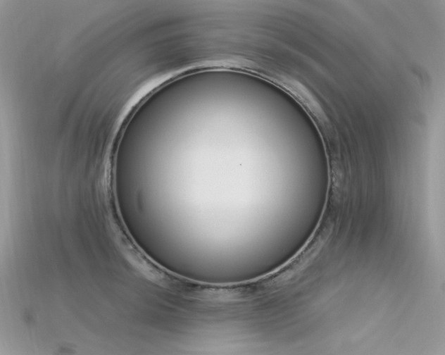 X0000115711044200911121421