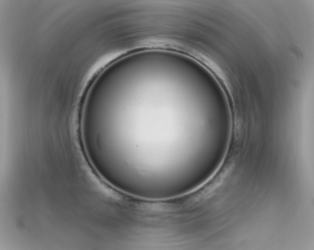 X0000115711045200911121421