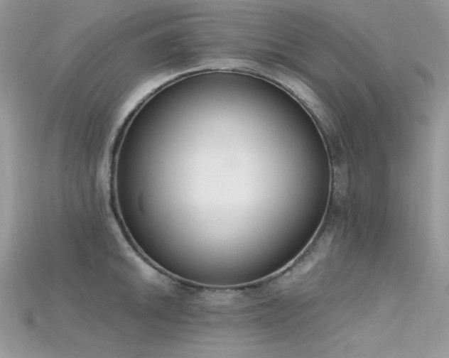 X0000115711046200911121421