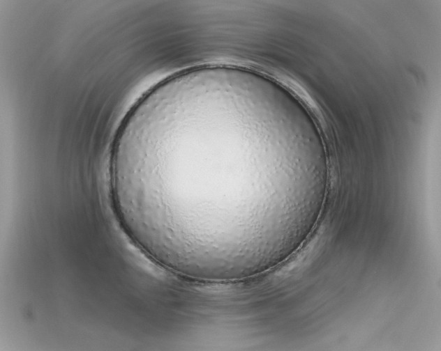 X0000115711048200911121421