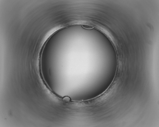 X0000115711050200911121421