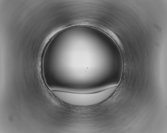 X0000115711051200911121421