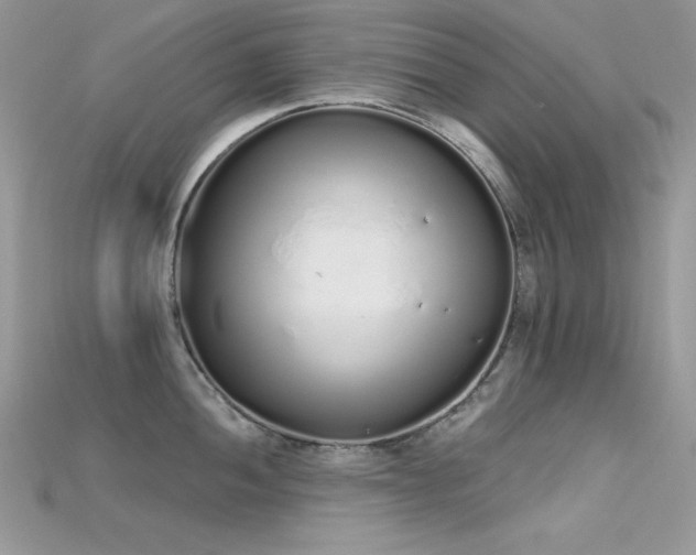 X0000115711052200911121421