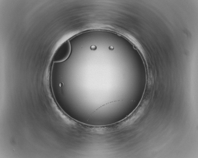 X0000115711053200911121421