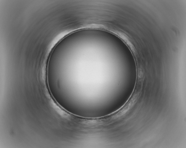 X0000115711054200911121421