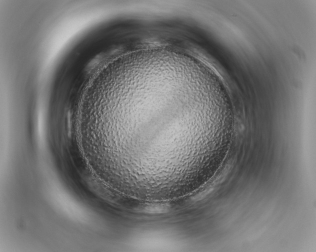 X0000115711055200911121421