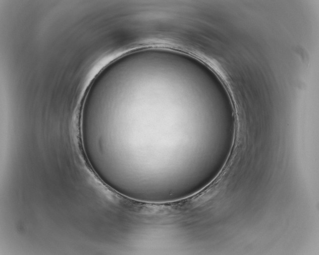 X0000115711056200911121421