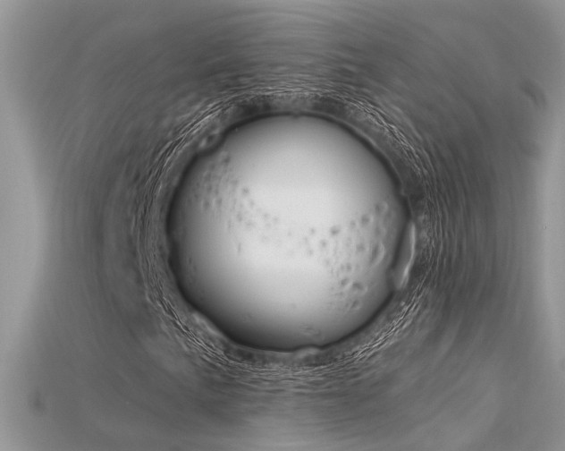 X0000115711057200911121420