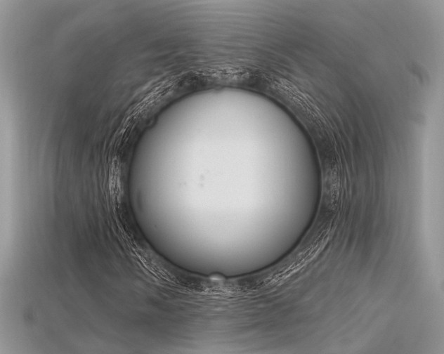 X0000115711058200911121420