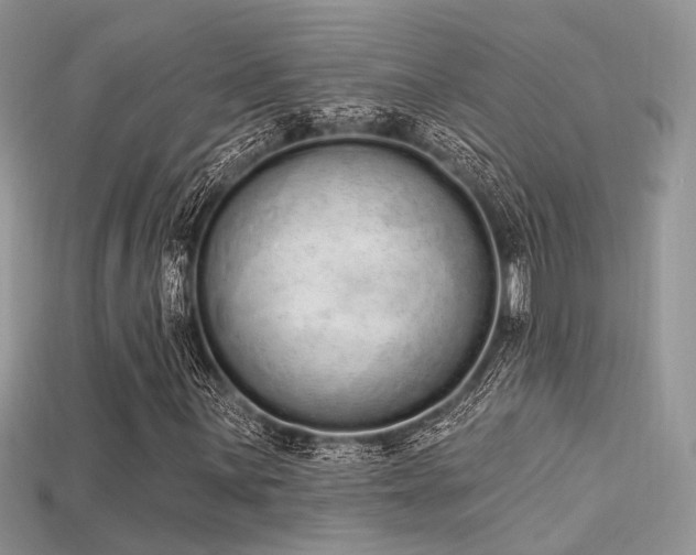 X0000115711059200911121420