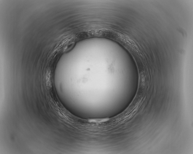 X0000115711060200911121420