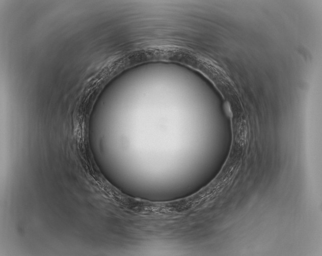 X0000115711061200911121420