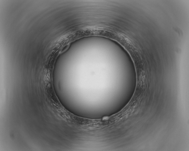 X0000115711062200911121420