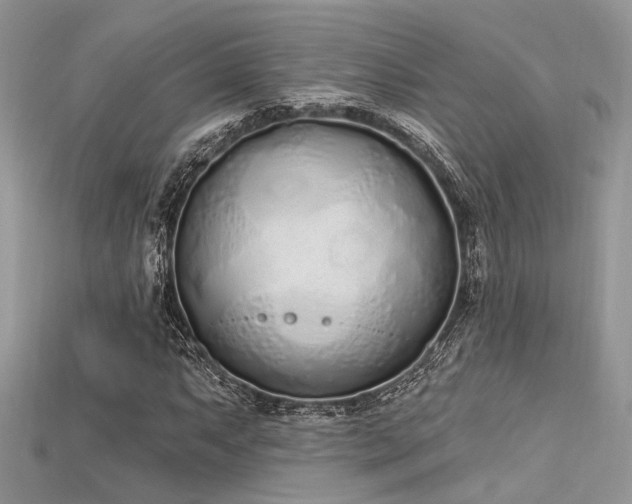 X0000115711063200911121420