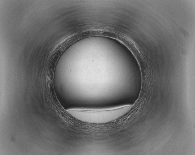 X0000115711064200911121420