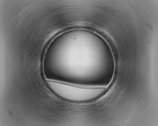 X0000115711065200911121420