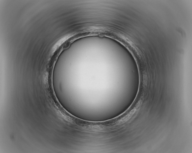 X0000115711066200911121420