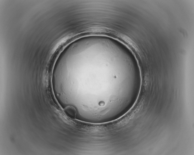 X0000115711067200911121420