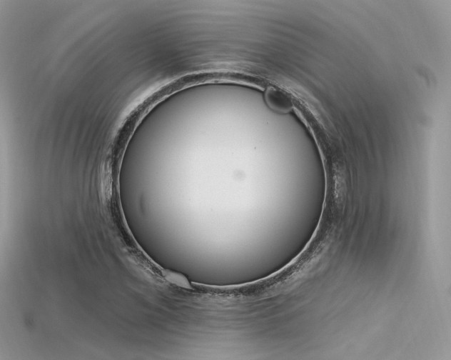 X0000115711069200911121420