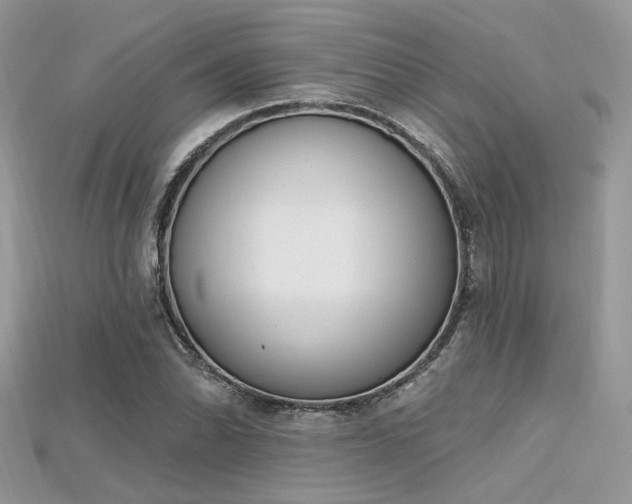 X0000115711070200911121420