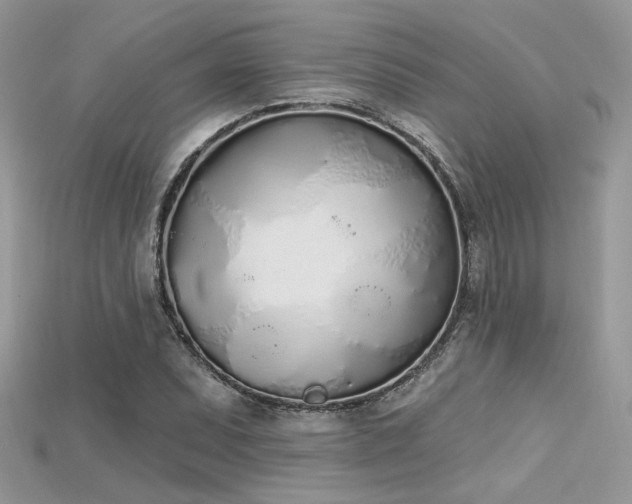 X0000115711071200911121420