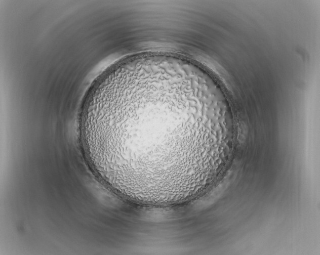 X0000115711074200911121420