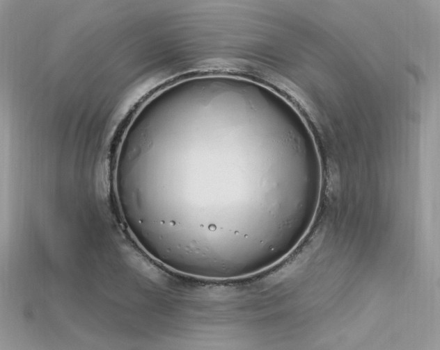 X0000115711075200911121420