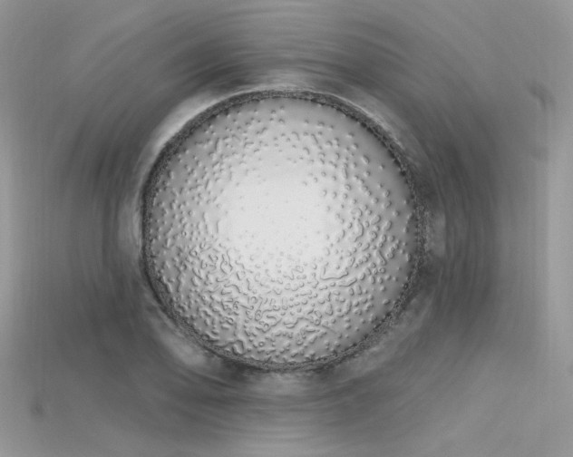 X0000115711078200911121420