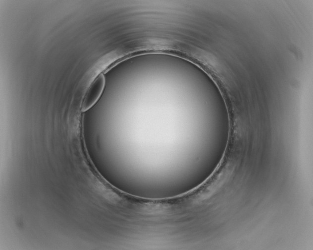 X0000115711081200911121420