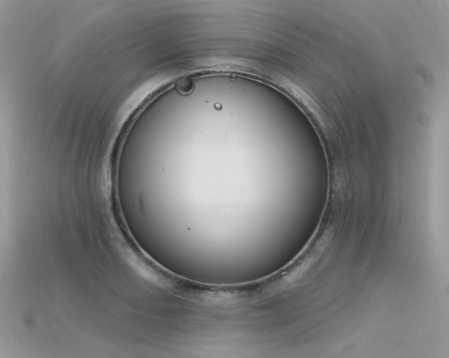 X0000115711082200911121420