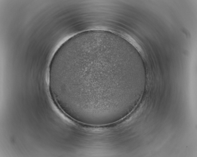 X0000115711084200911121420