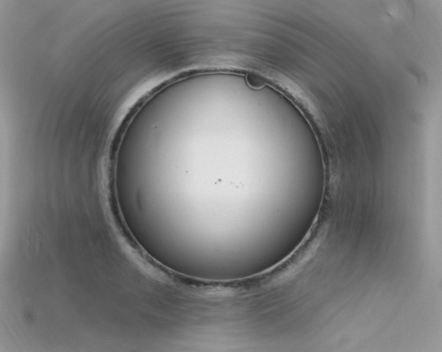 X0000115711085200911121420