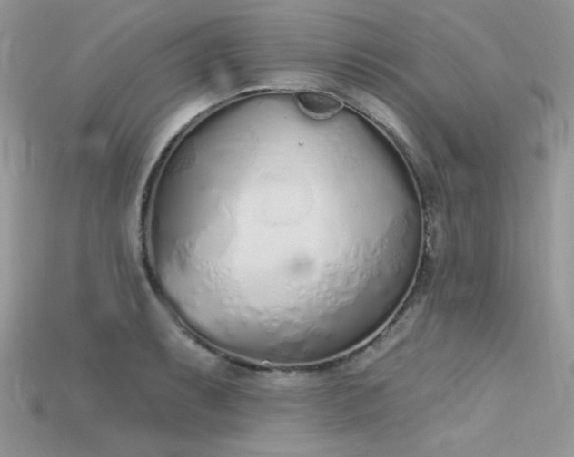 X0000115711087200911121420