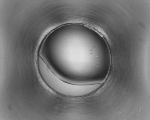 X0000115711088200911121420