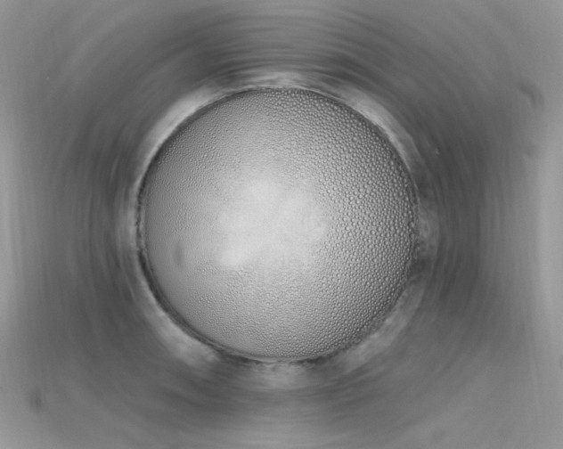 X0000115711090200911121420