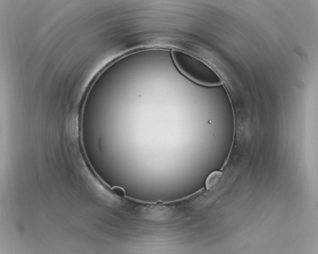 X0000115711092200911121420