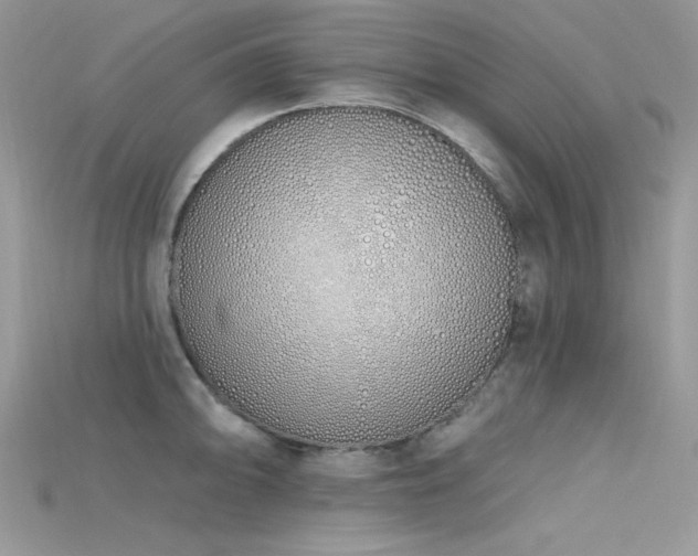 X0000115711094200911121420