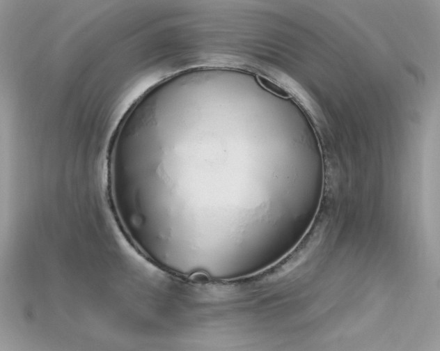 X0000115711095200911121420