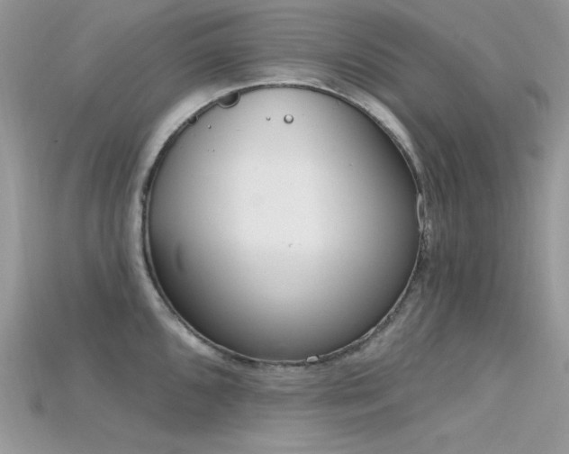 X0000115711096200911121420