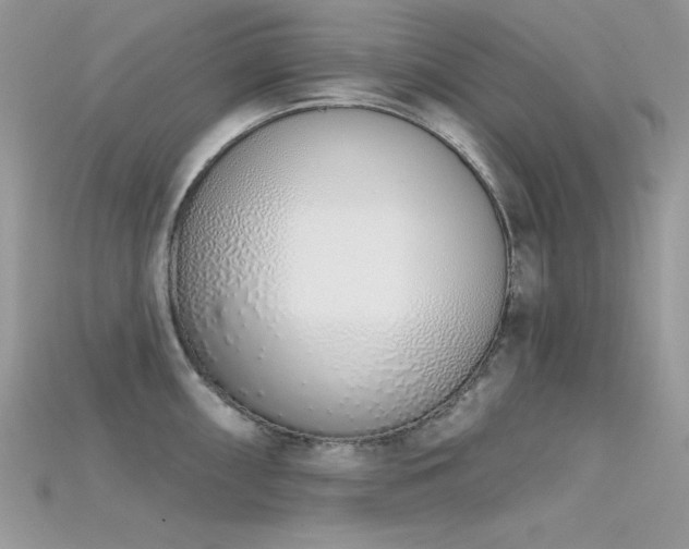 X0000115711098200911121420