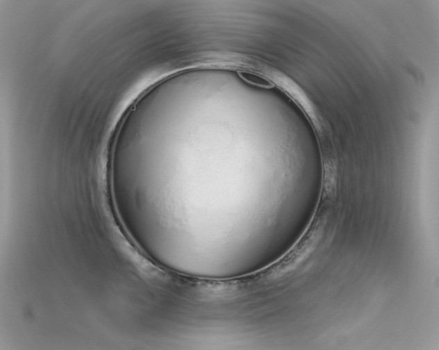 X0000115711099200911121420