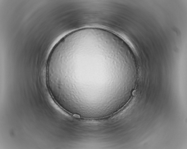 X0000115711100200911121420