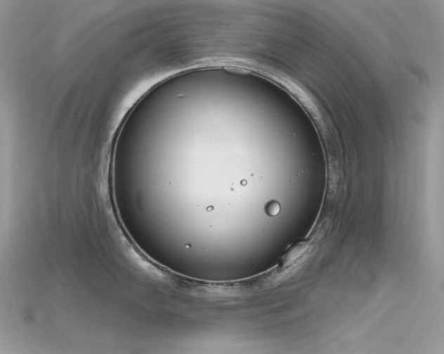 X0000115711102200911121420