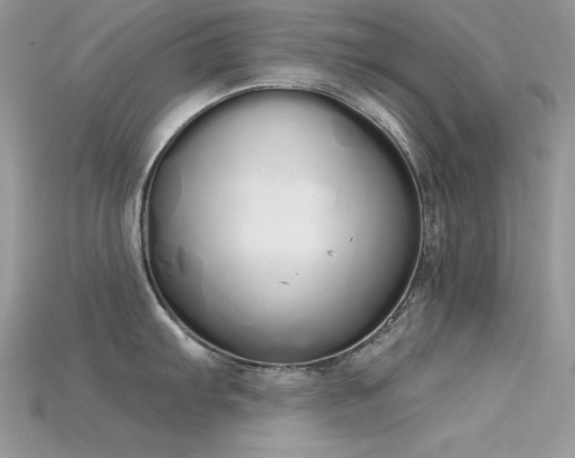 X0000115711103200911121420