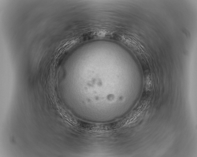 X0000115711105200911121419