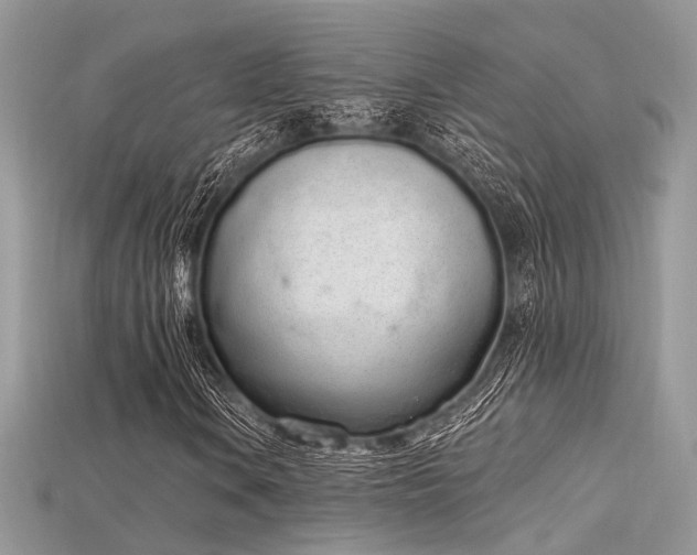 X0000115711106200911121419