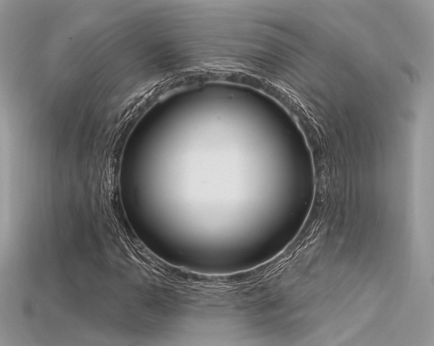 X0000115711110200911121419